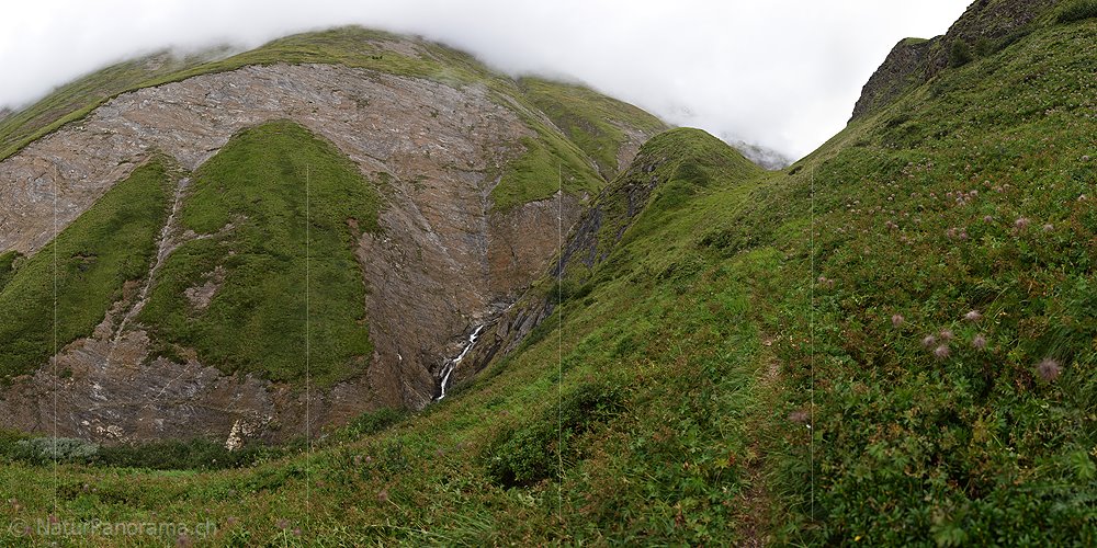 P020381: Sehr grosses Bild eines wilden, engen und grünen Bergtals