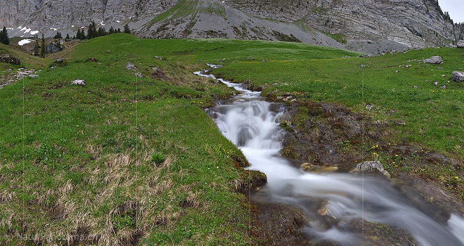 P021450: Panoramafoto Bergbach auf grüner Bergwiese (Langzeitbelichtung)