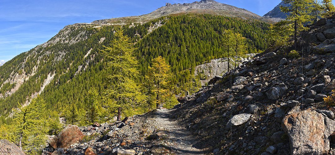 P022460: Panoramafoto Bergwald