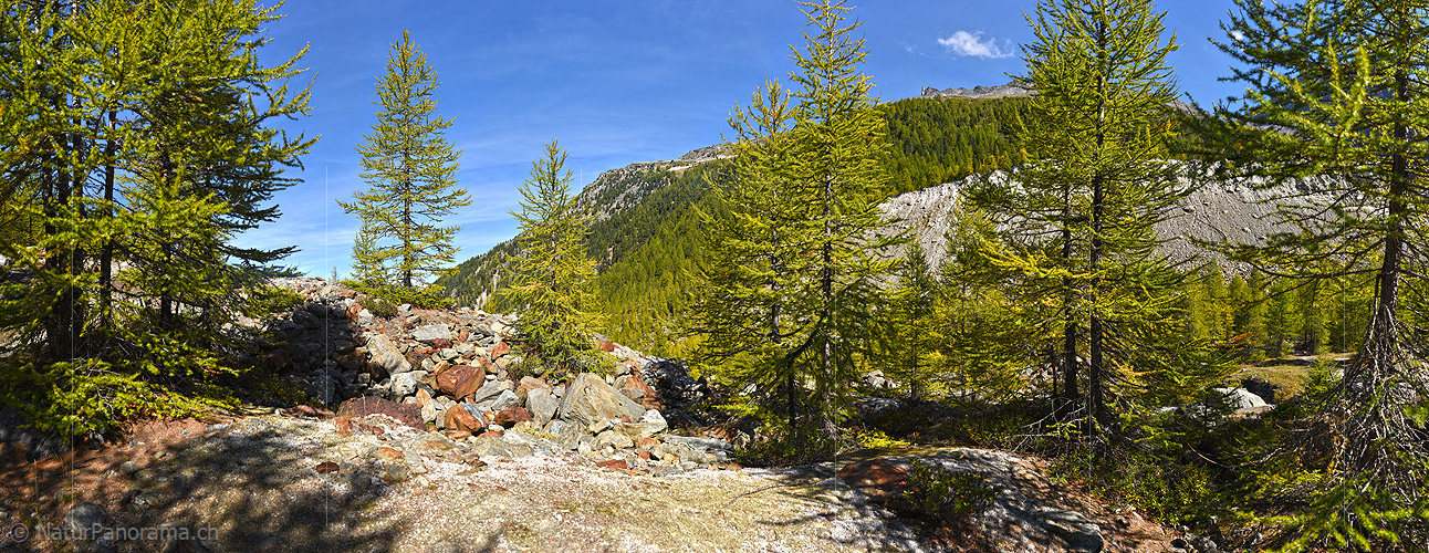 P022465: Panorama photo mountain forest