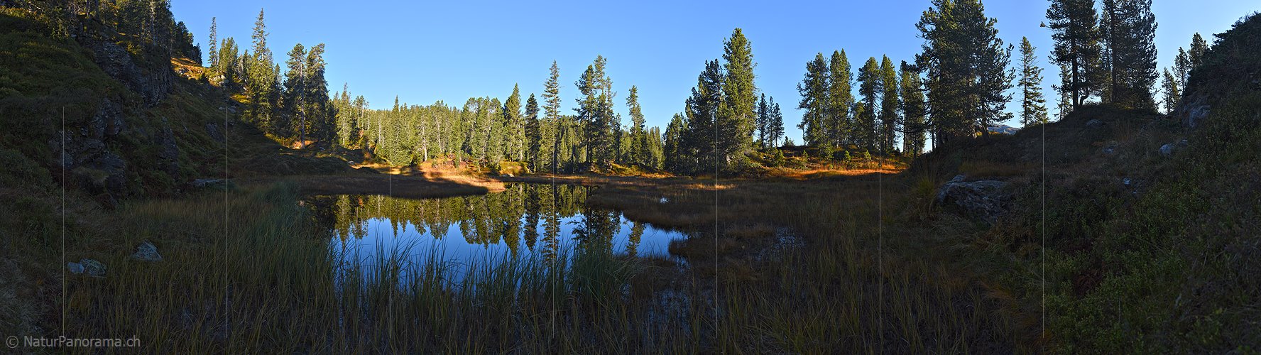 P022516: Panoramafoto Waldsee / Moorsee