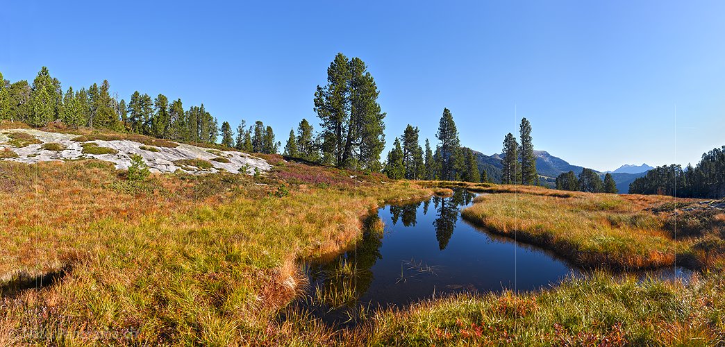 P022522: Panoramafoto Moorsee in urtümlicher Landschaft