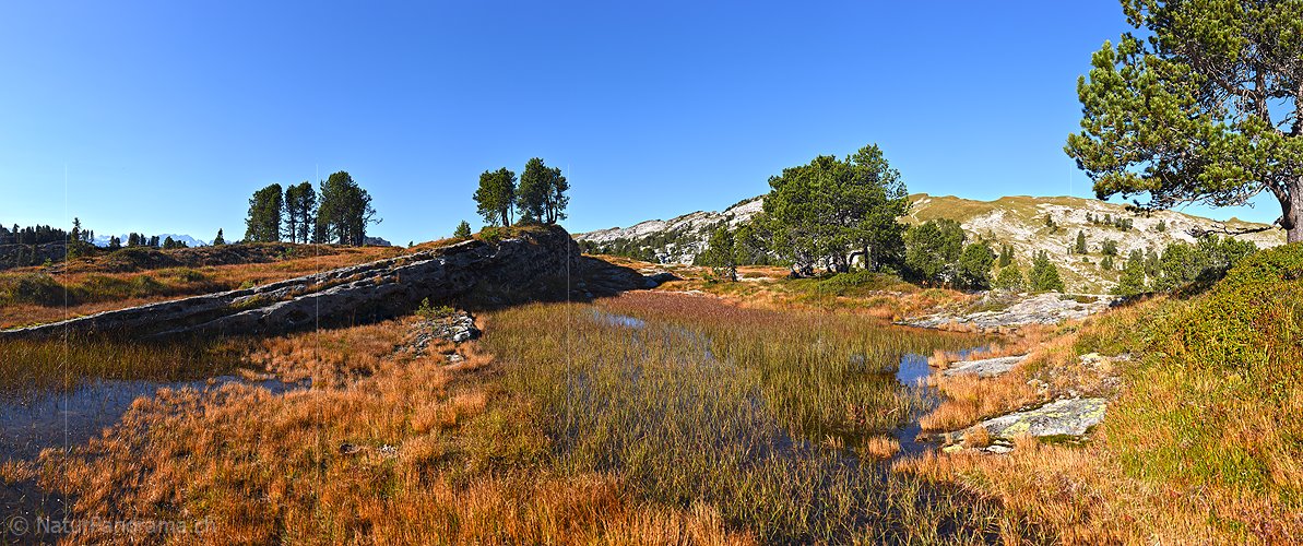 P022524: Panoramafoto Hochmoor in urtümlicher Landschaft