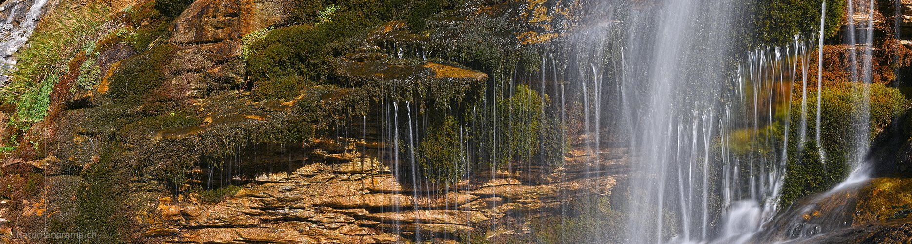 P022543a: Panoramafoto Wasser und Moos