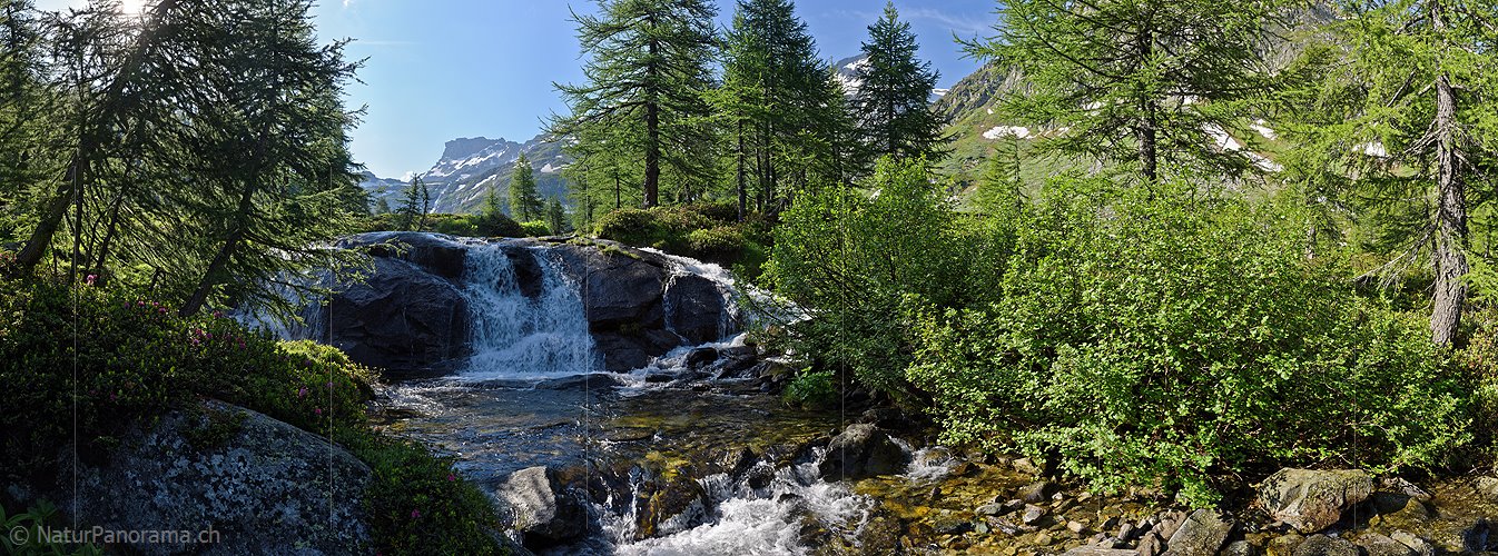 P023161c: Panoramafoto Wasserfall in Naturlandschaft