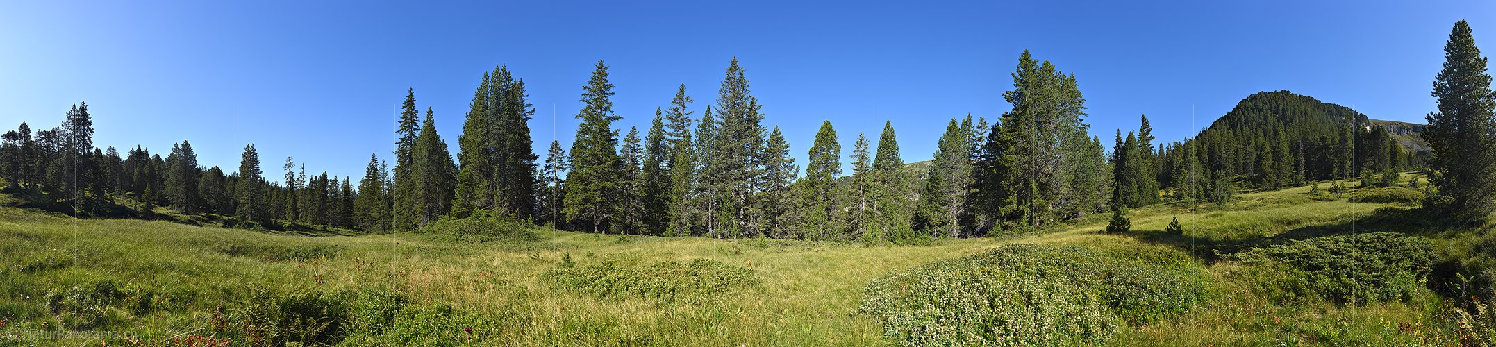 P023484a: Grosspanorama Grüne Berglandschaft im Wald