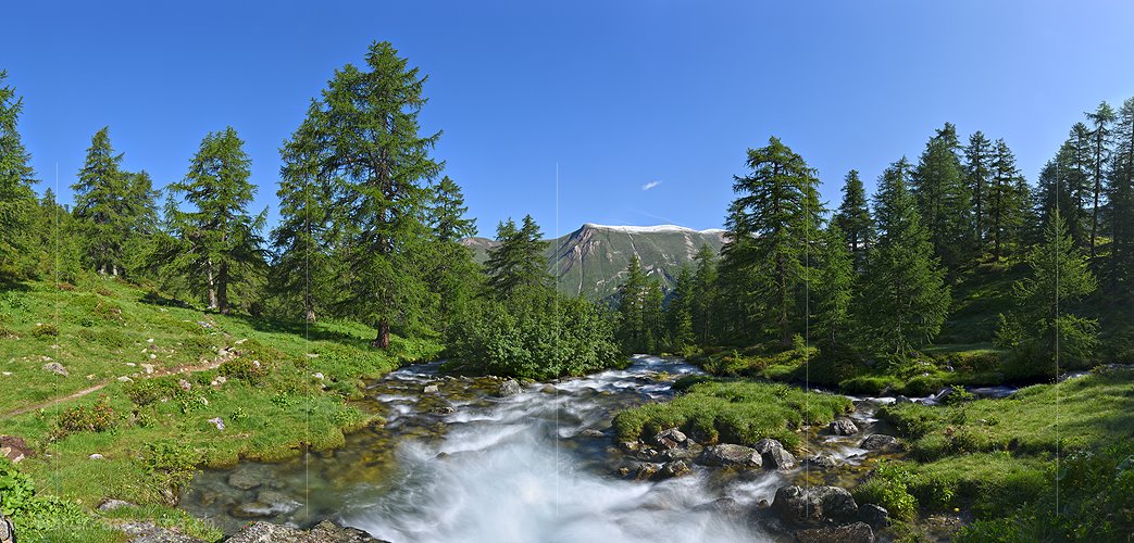 P025079: Panoramafoto Berbach in lichtem Bergwald