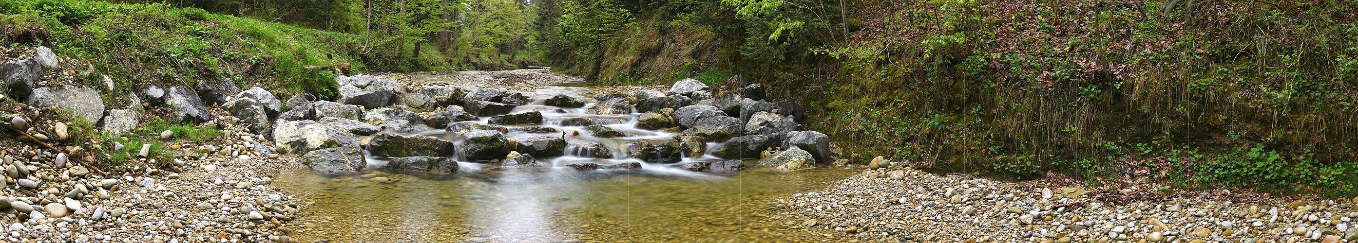 P025711: Panoramic photo stream in spring environment (long exposure)