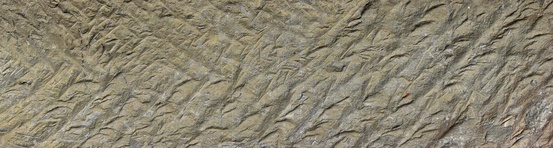 P023662: Panorama von Strukturen in Sandstein