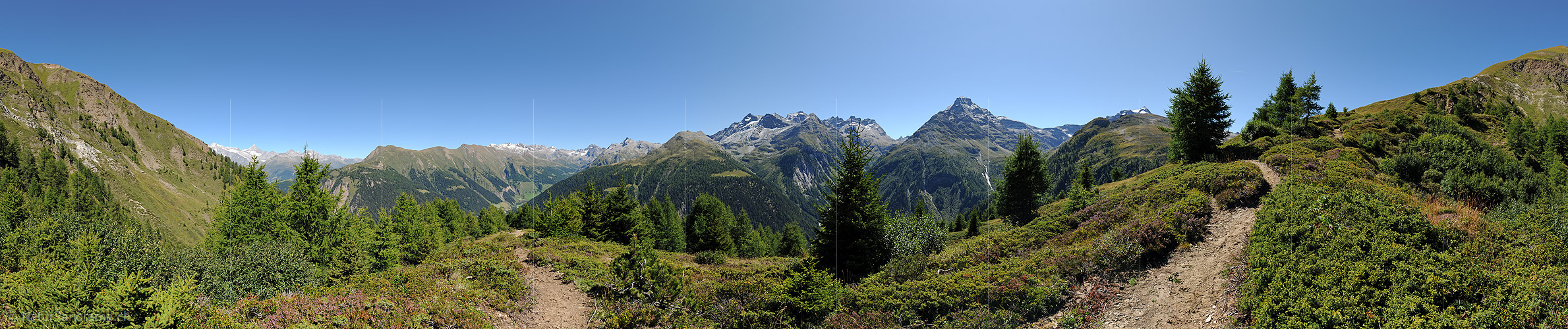 P008392a: Panoramabild Lichter Lärchenwald in Berglandschaft