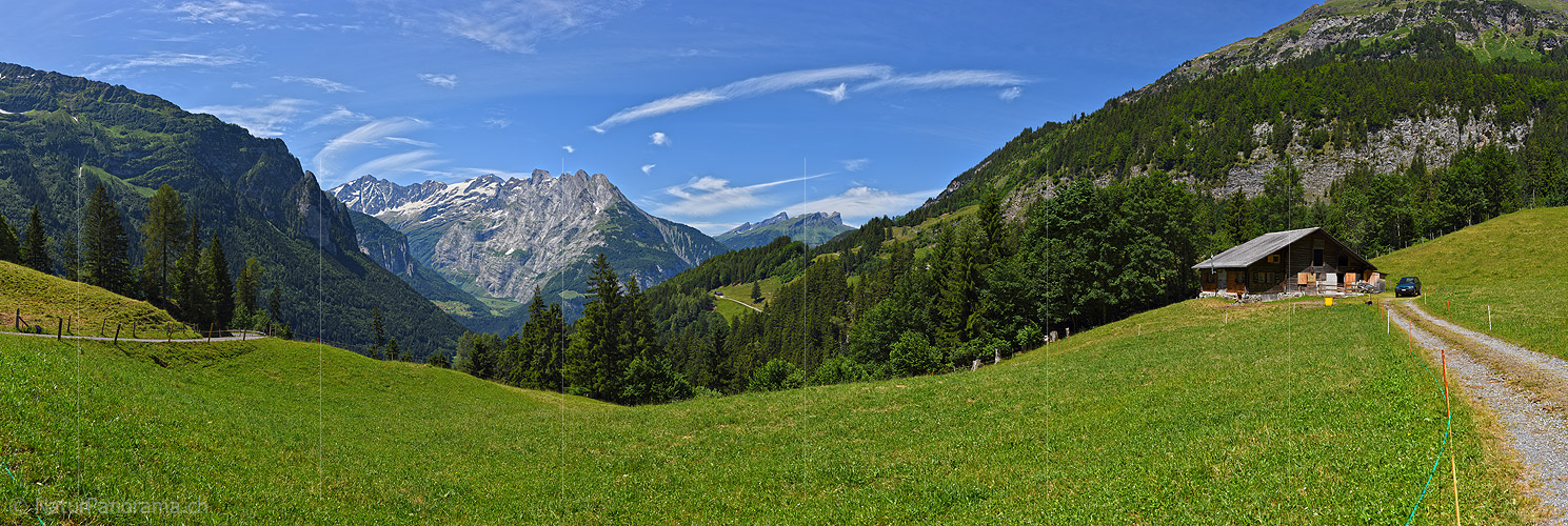 P020014: Panoramafoto Berglandschaft mit Alphütte im Haslital