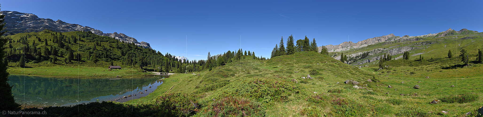 P019997: Panoramafoto Bergsee in grüner Berglandschaft