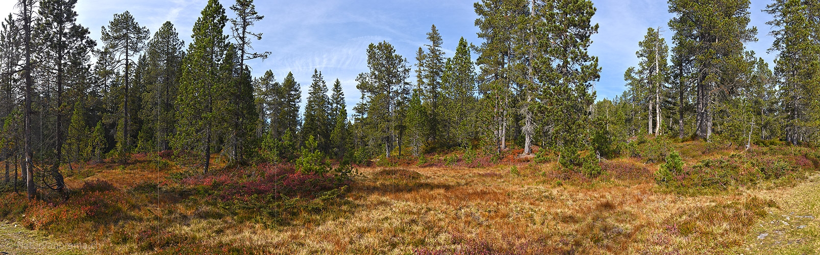 P022580: Panoramafoto Bergwald im Herbst