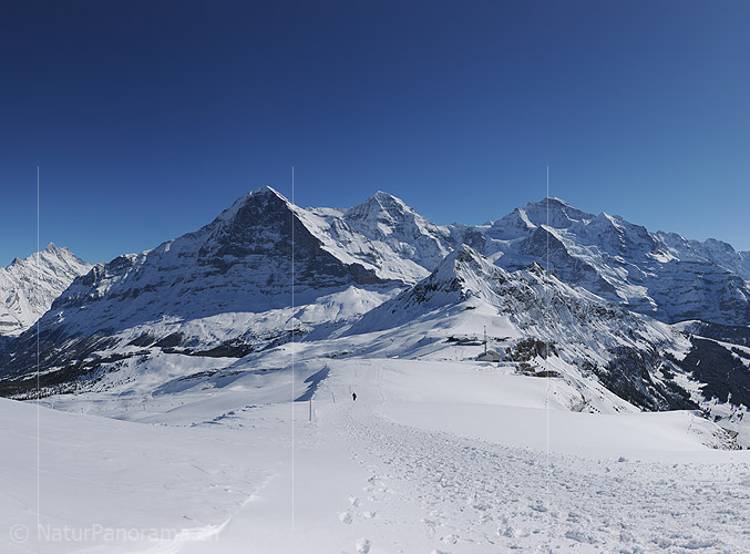 P015754a: Panoramafoto Eiger, Mönch und Jungfrau im Winter