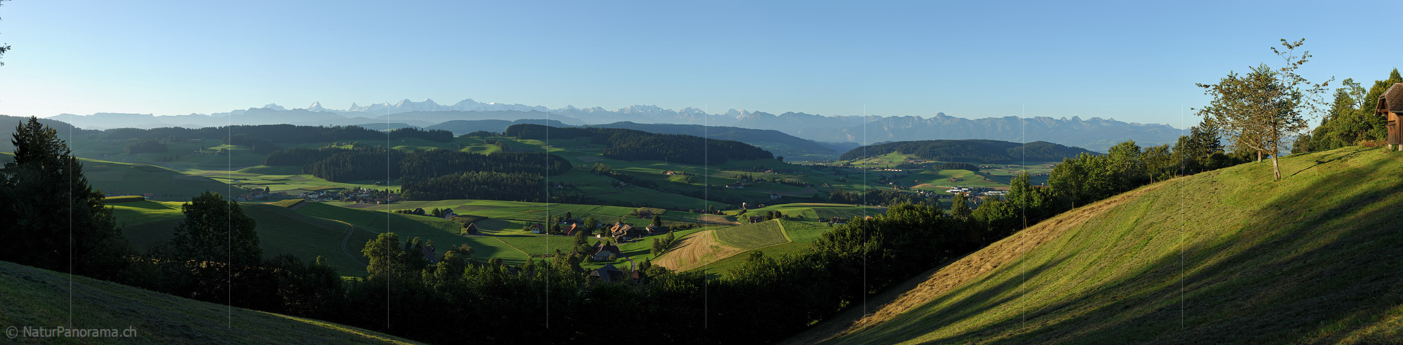 P013542: Panoramafoto Emmentaler Hügellandschaft im Morgenlicht