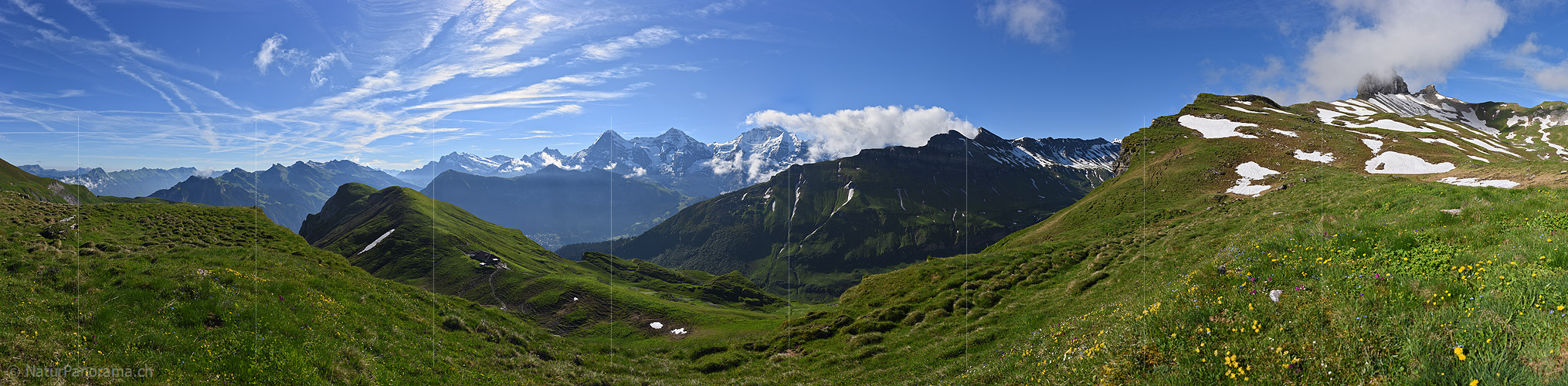 P018044a: Panoramafoto Grüne Berglandschaft in der Jungfrauregion