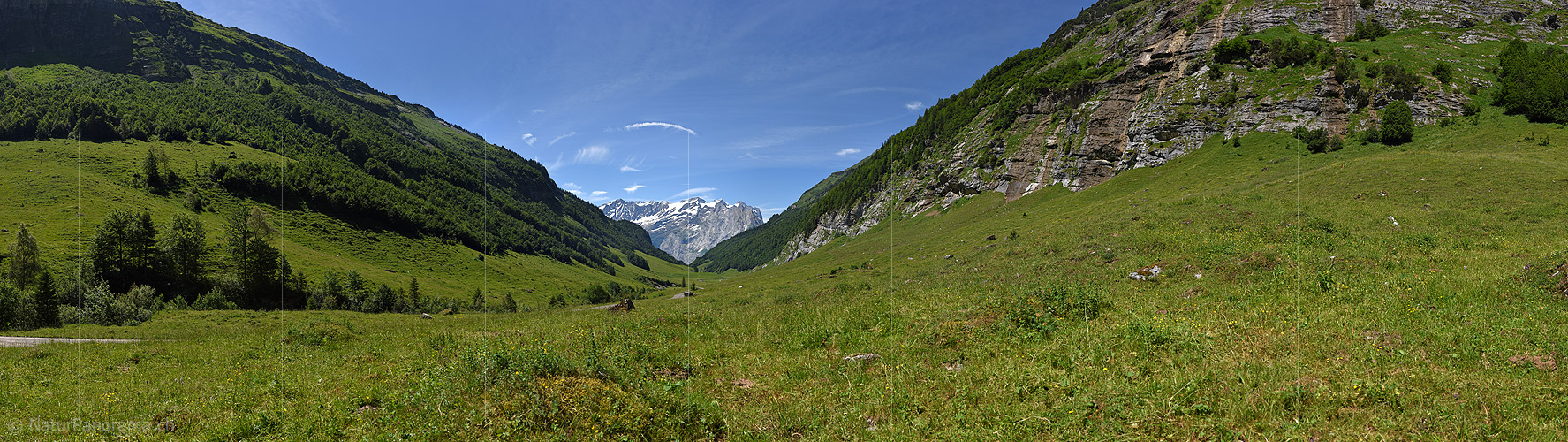P020013: Panoramafoto Grünes Bergtal in den Schweizer Alpen