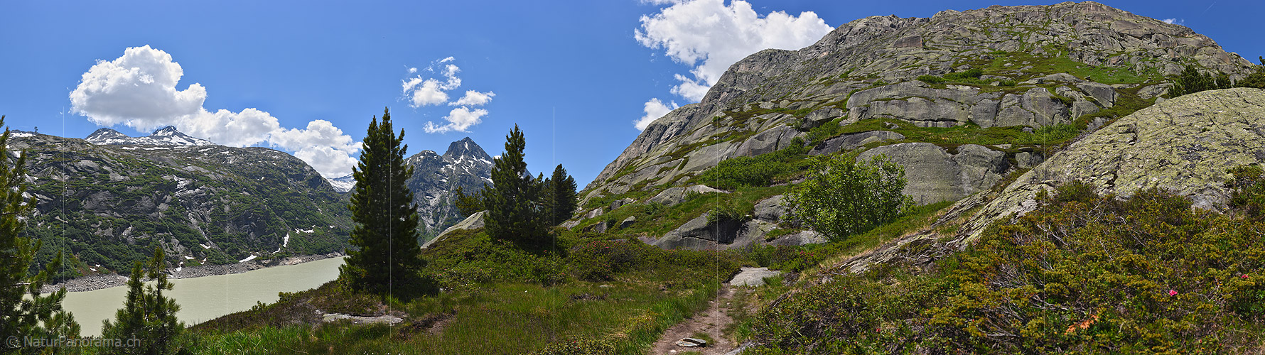 P021656: Panoramafoto Lichter Arvenwald in urtümlicher Berglandschaft