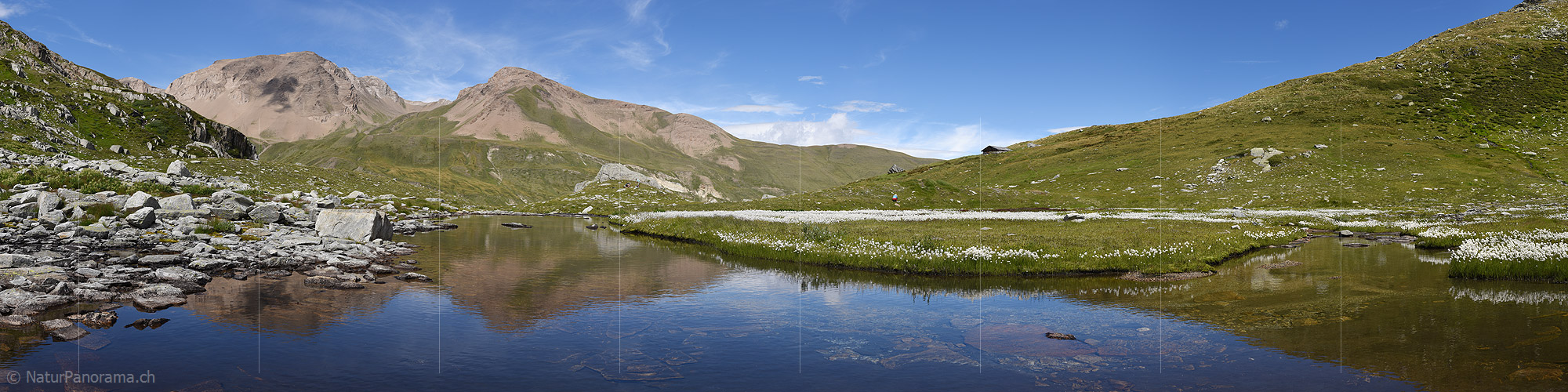 P020243b: Panoramafoto Ruhig fliessender Bergbach und Wollgras in Naturlandschaft