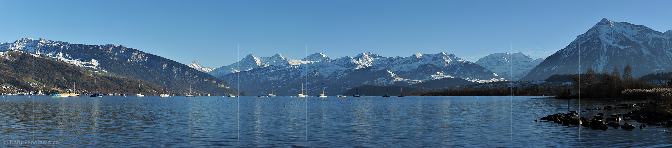 P016333: Panoramafoto Thunersee, Berner Alpen und Niesen