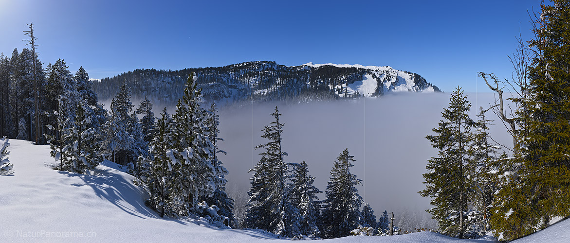 P020859: Panoramafoto Winterlandschaft mit Nebelmeer