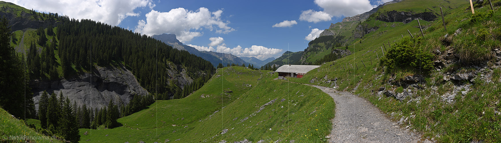 P019947: Panoramafotos Alpstrasse und Alphütte in grüner Berglandschaft