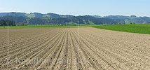 Panoramabild Bestellter Acker im Emmental