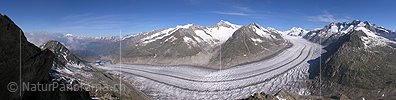 Panorama Grosser Aletschgletscher vom Eggishorn, Aletsch