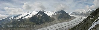Panorama Aletschgletscher vom Bettmerhorn, Aletsch