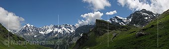 Panorama Jungfrau und Ebene Fluh von Poganggen/Mürren