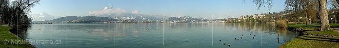Panoramabild Vierwaldstättersee und Pilatus, Luzern, Zentralschweiz