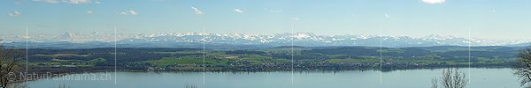 Panoramabild Murtensee und Alpenpanorama