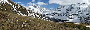 Panoramafoto Ofenhorn