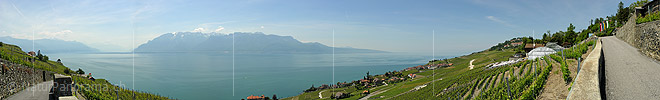 Panoramic photo Vineyards on Lake Geneva