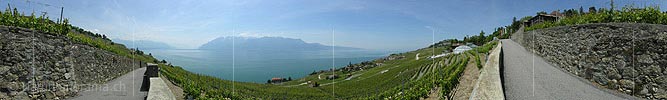 360° Panoramic Vineyards on Lake Geneva