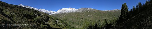 Panoramafoto Meiggerhorn (Saflischtal)