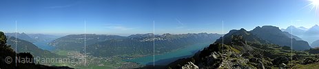 Panoramabild Schynige Platte, Jungfrauregion