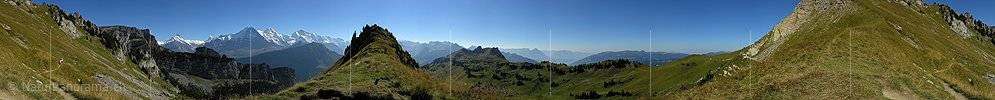 Panorama Schynige Platte