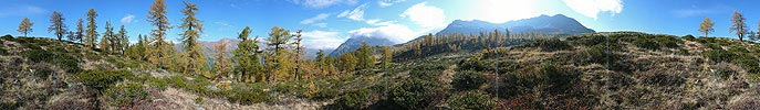 Panoramabild Herbstlich gefärbter Lärchenwald im Binntal