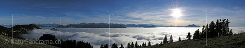 Panoramabild Nebelmeer von Rigi Staffelhöhe