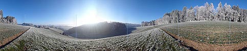 Panoramic photo Frost