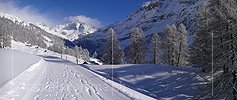 Panorama Winterlandschaft mit Ofenhorn