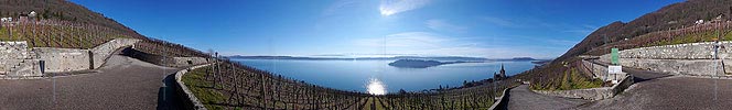Panorama Ligerz, Bielersee und St. Petersinsel