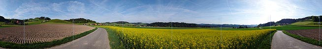 P002133: Panoramabild Rapsfeld