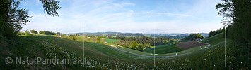 Panoramabild Heuwiese
