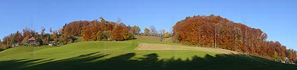 Panoramic image Autumn forest