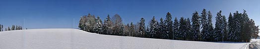 Panoramabild Winterwald
