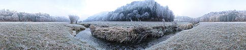 Panoramic image renatured stream