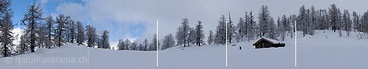 Panoramabild Alphütte im Winter