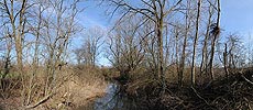 Panoramic floodplain